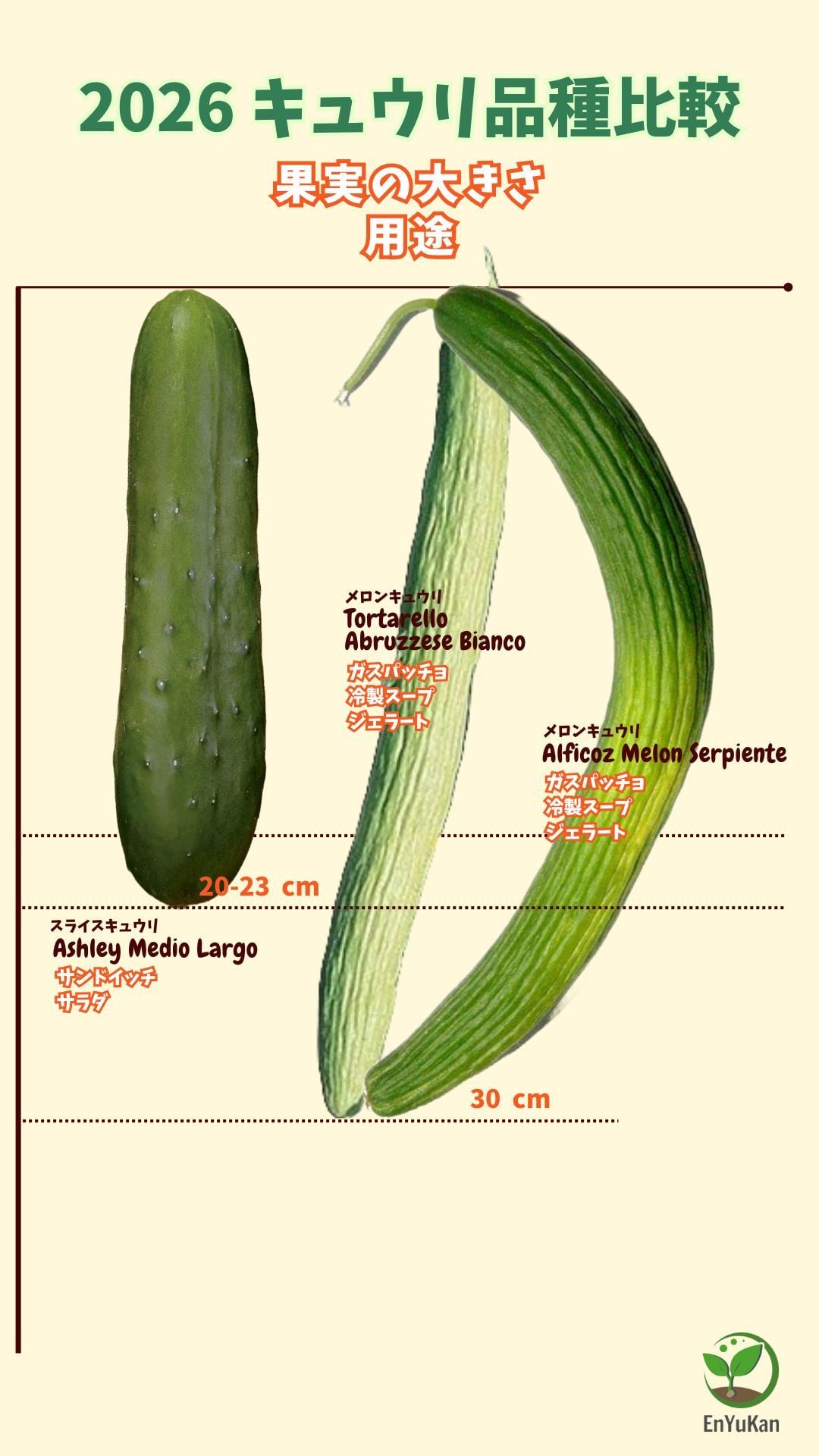 メロンキュウリ・Alficoz Melon Serpiente（固定種）【2g=約60粒】<B