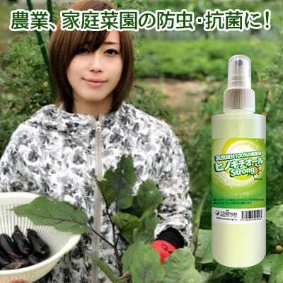 ヒバ抽出 ヒノキチオールストロング 20L(除菌 抗菌 防虫 防ダニ ヒバ抽出 ヒノキチオールストロング 20L(除菌 抗菌 防虫 防ダニ