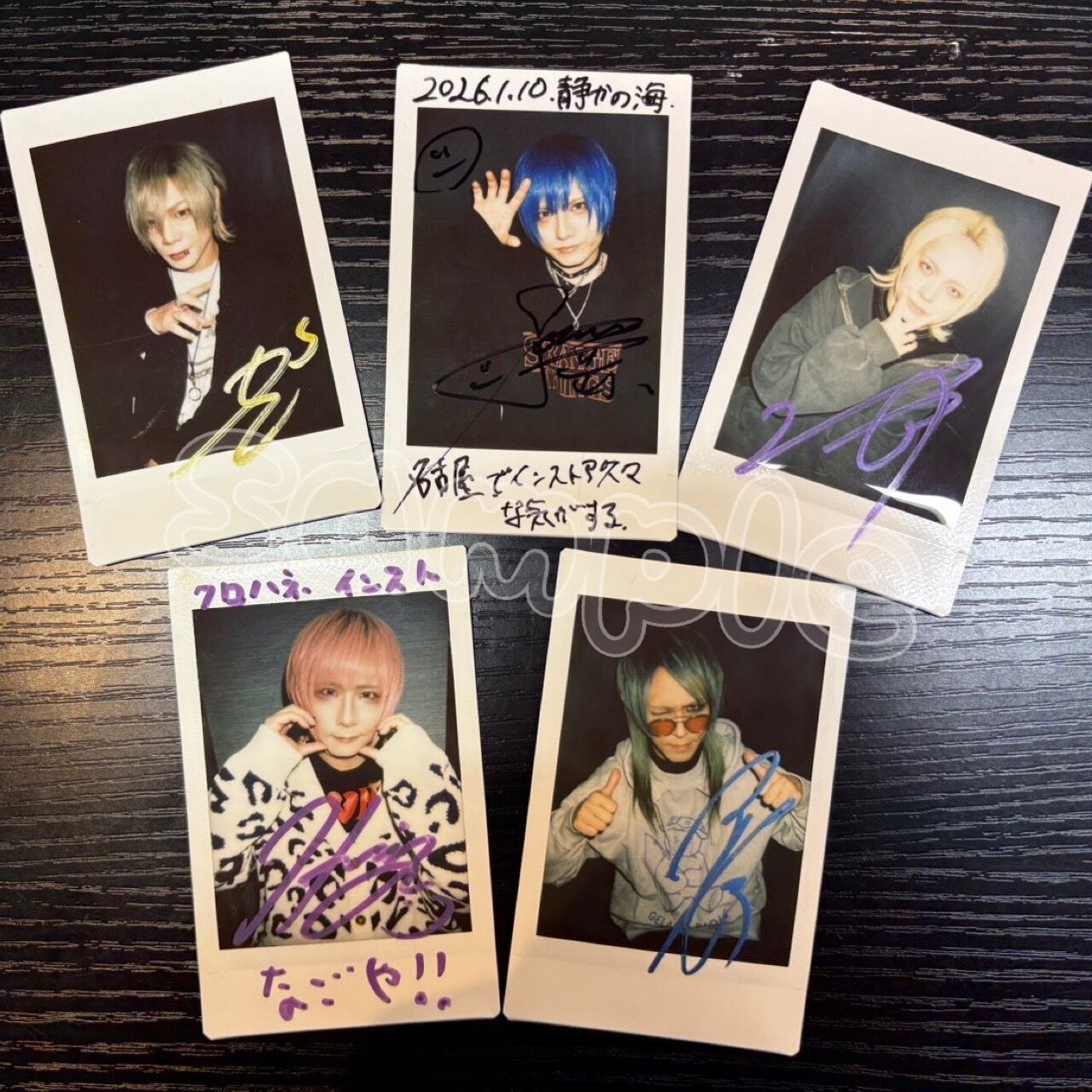 蛾と蝶 ONLINE STORE