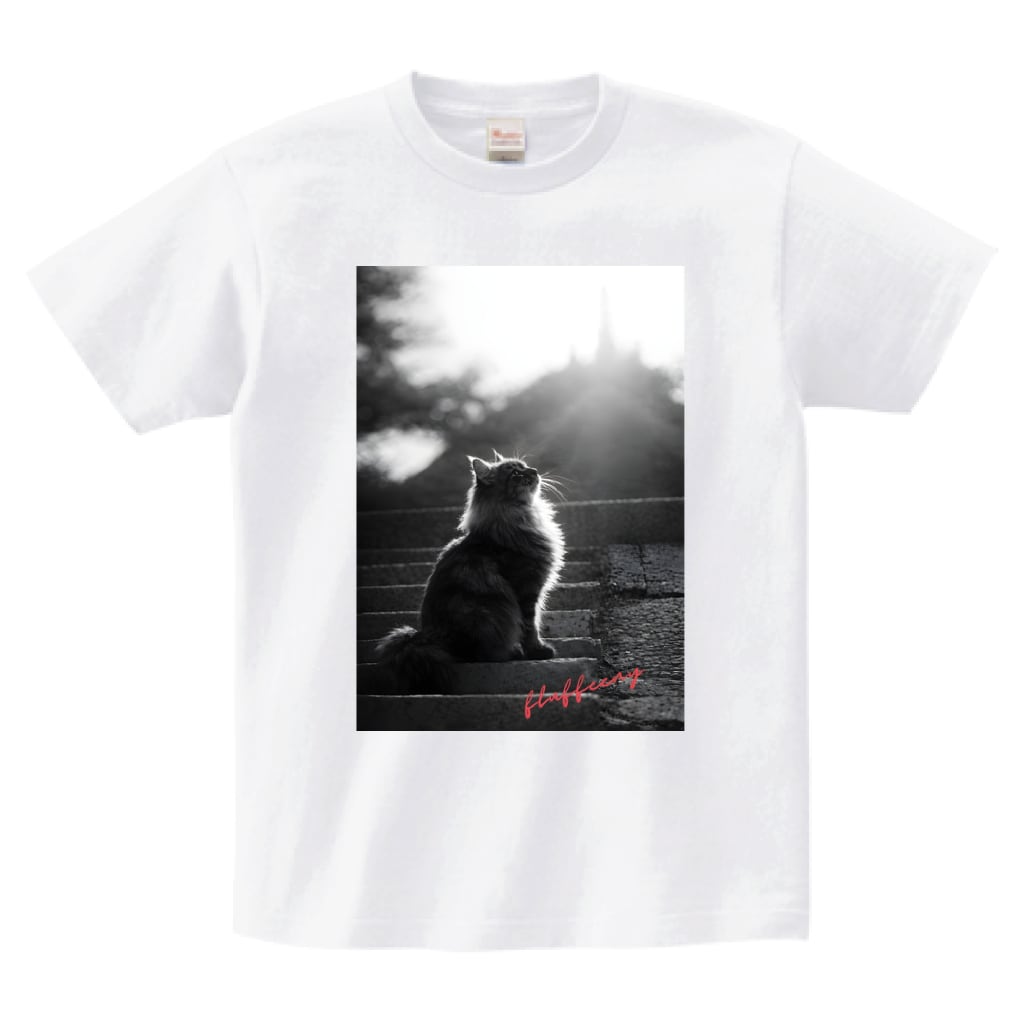 【光の先へ】fluffeeny フォトTシャツ(1COLOR)(OF00412)