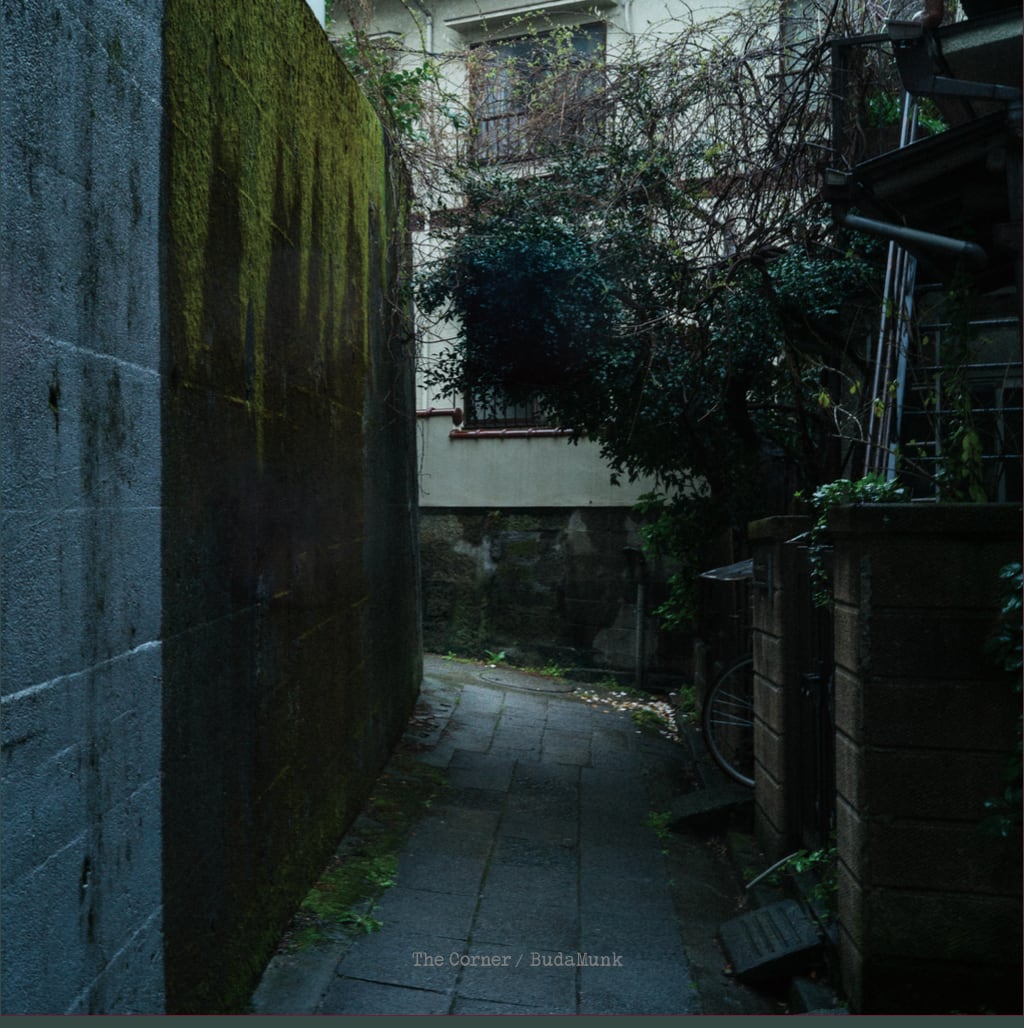 〈予約〉【LP】BudaMunk - The Corner