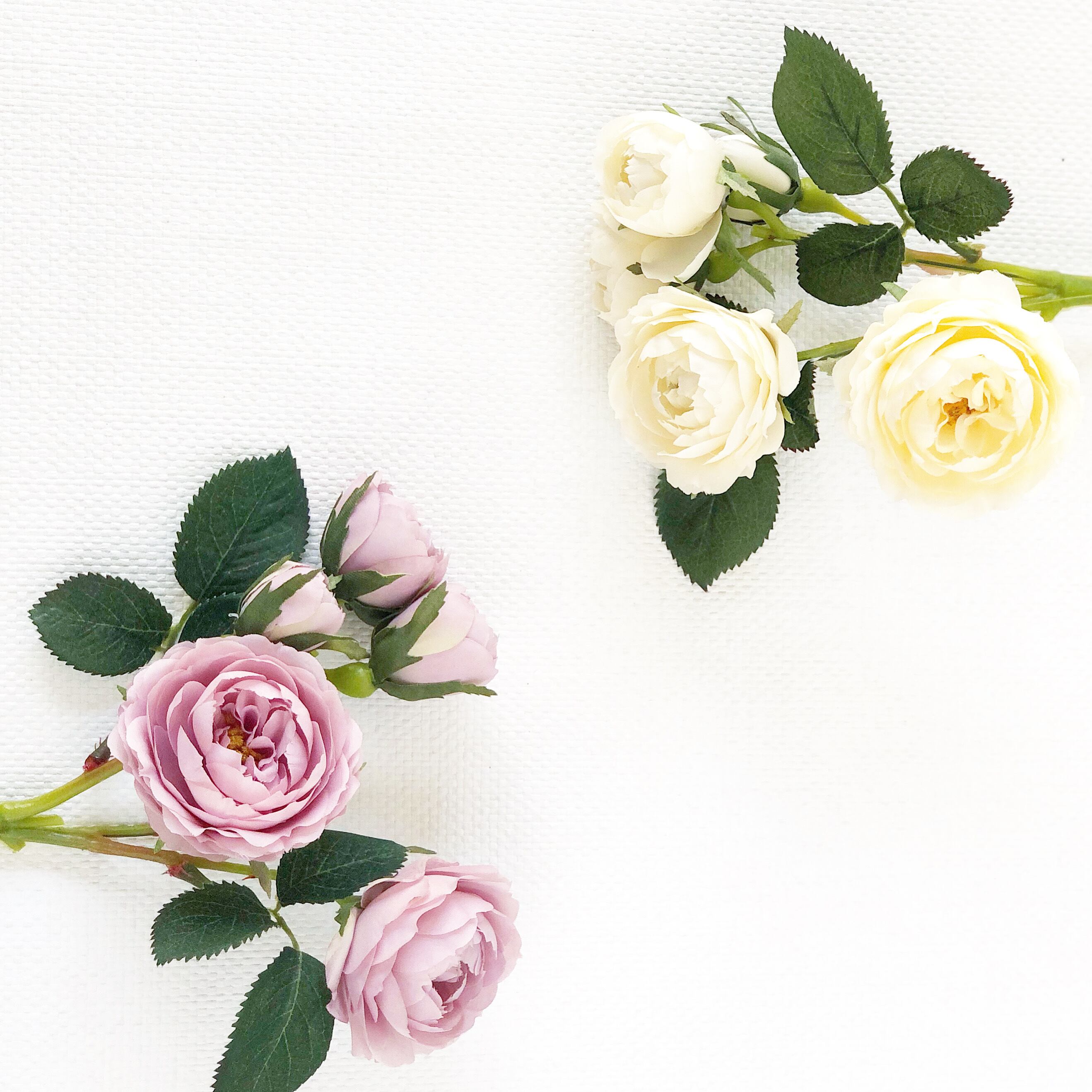 専用】オーダーメイド品 saki様⋆͛*͛ ͙͛⋆͛ᐝ·̩͙オーダー品