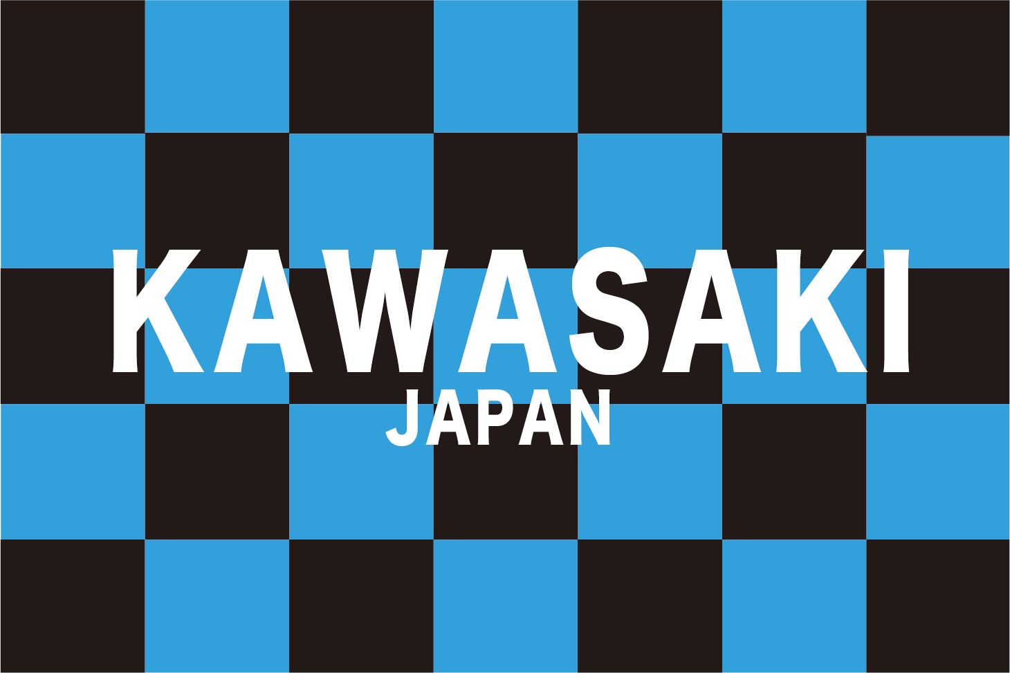 美波　フラッグ Lフラッグ（チームカラー別） | 旗と横断幕の染太郎