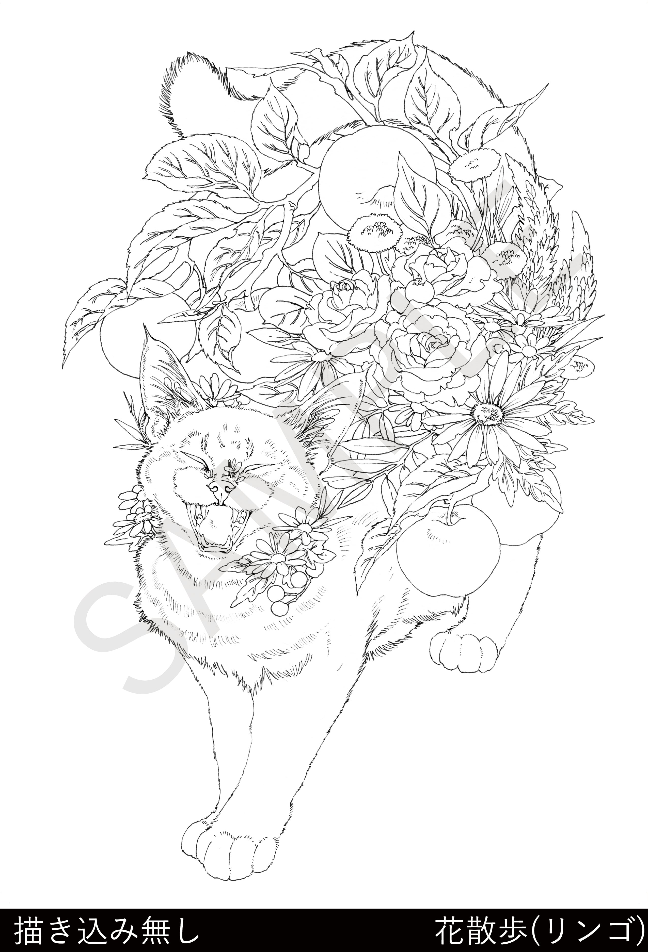 塗絵セット | KEN MATSUDA ONLINE STORE