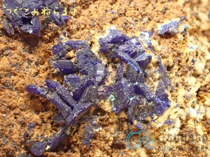 アズライト 藍銅鉱 セルビア TM-0011