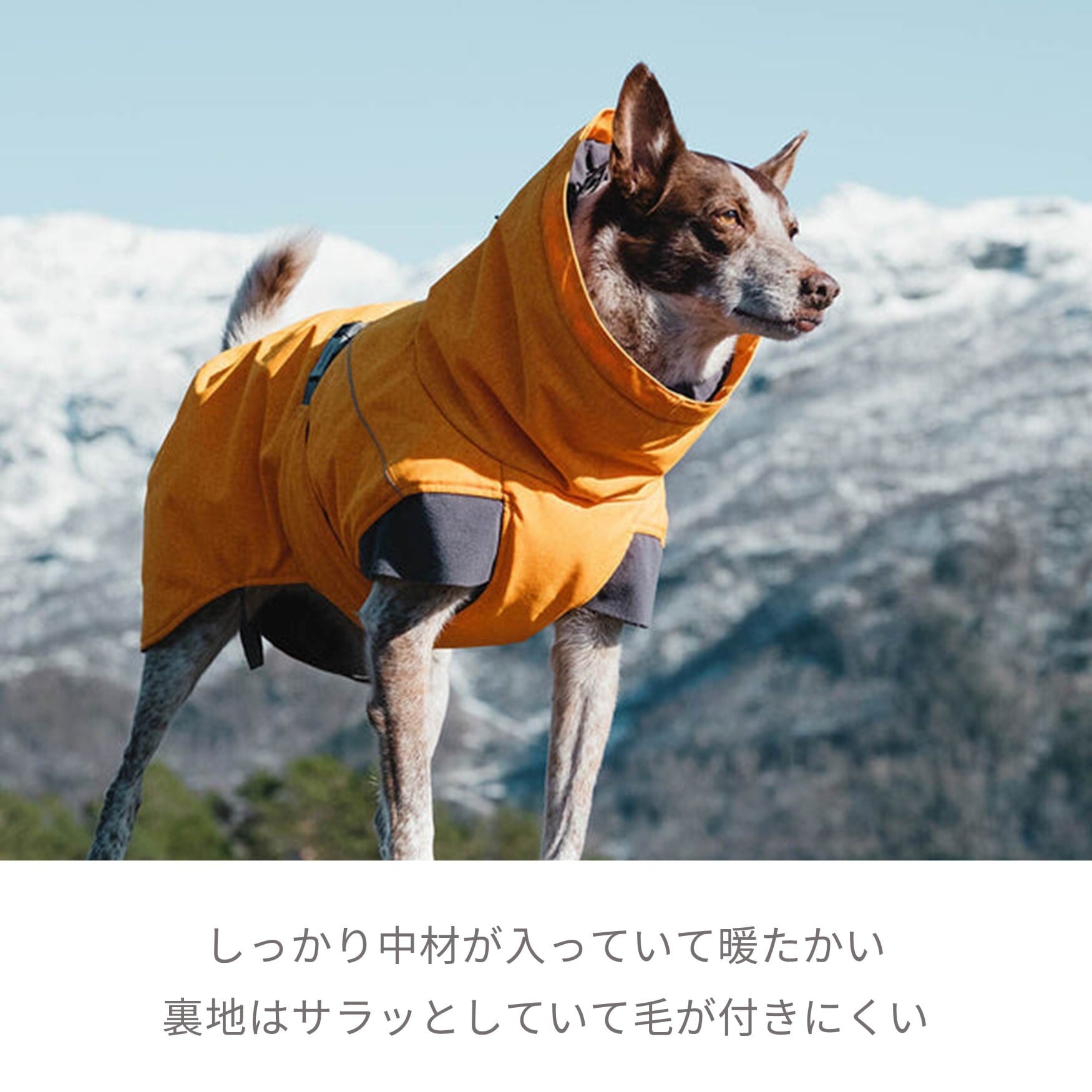 Hurtta】【フルッタ】・ドッグジャケット【エクスペディションパーカー