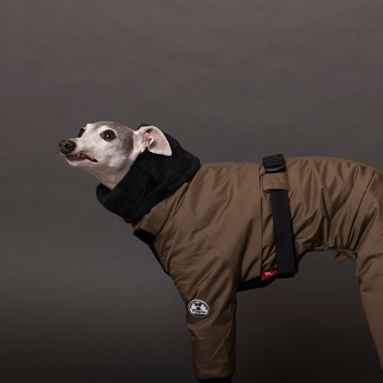 ピッピーノ ボンバーヒートジャケット Lサイズ 【公式通販】