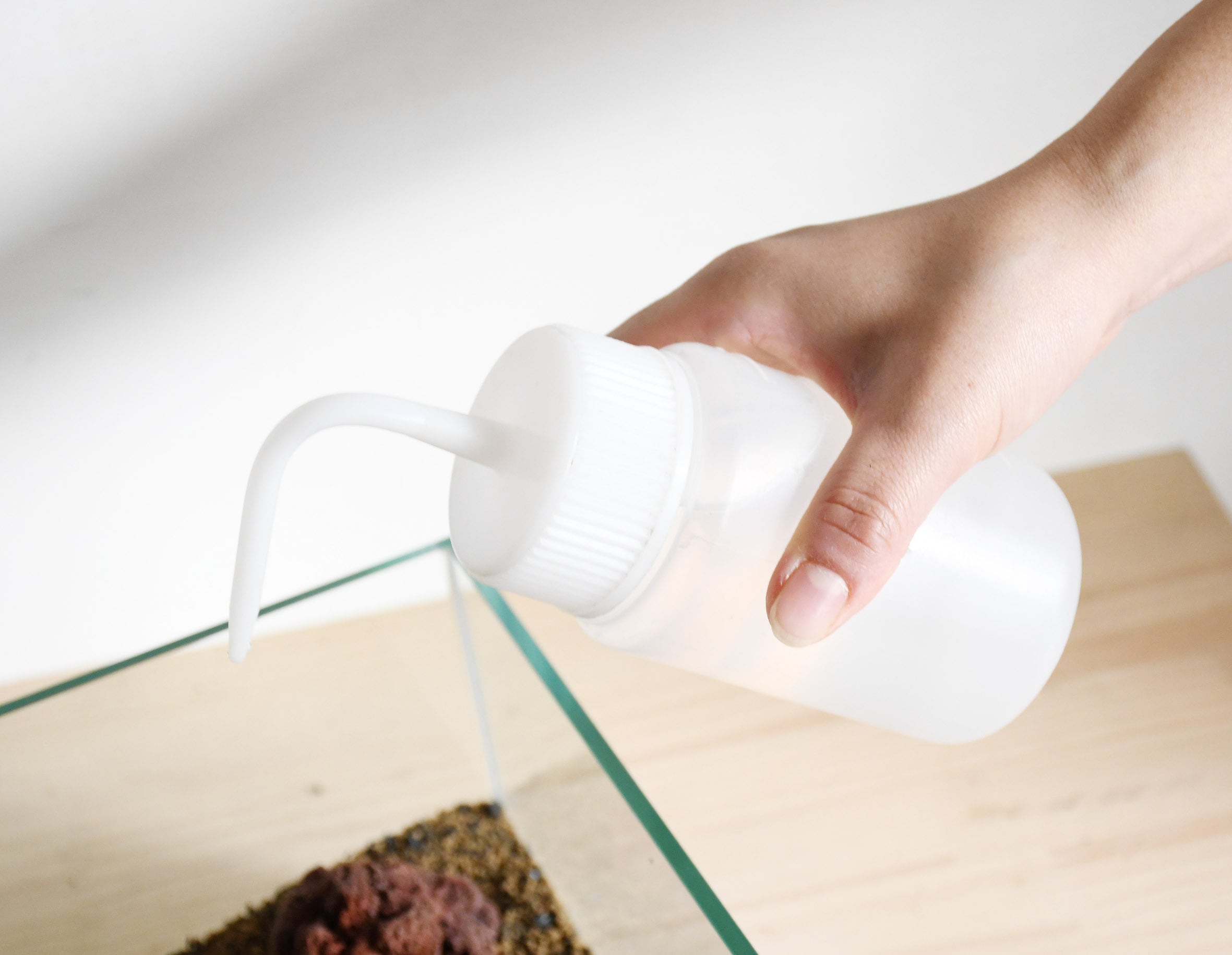 広口洗浄瓶250ml【水差し】【苔テラリウム作製用ツール】 | 苔