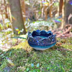 天から舞い降りた蓮の花のうつわ(黒羽)