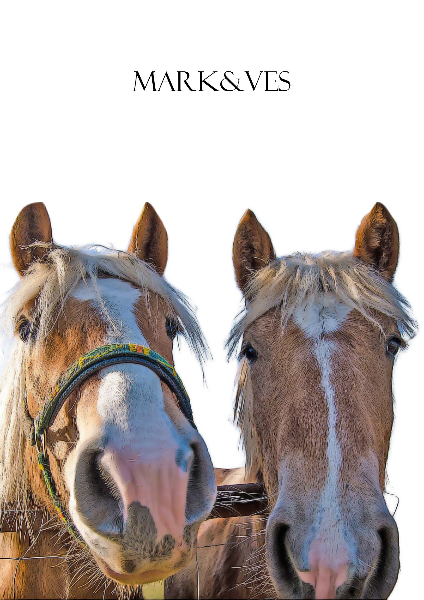 うちの子似顔絵待ち受け オーダーメイド待受 名入れok 即日納品 乗馬用品店レクシア