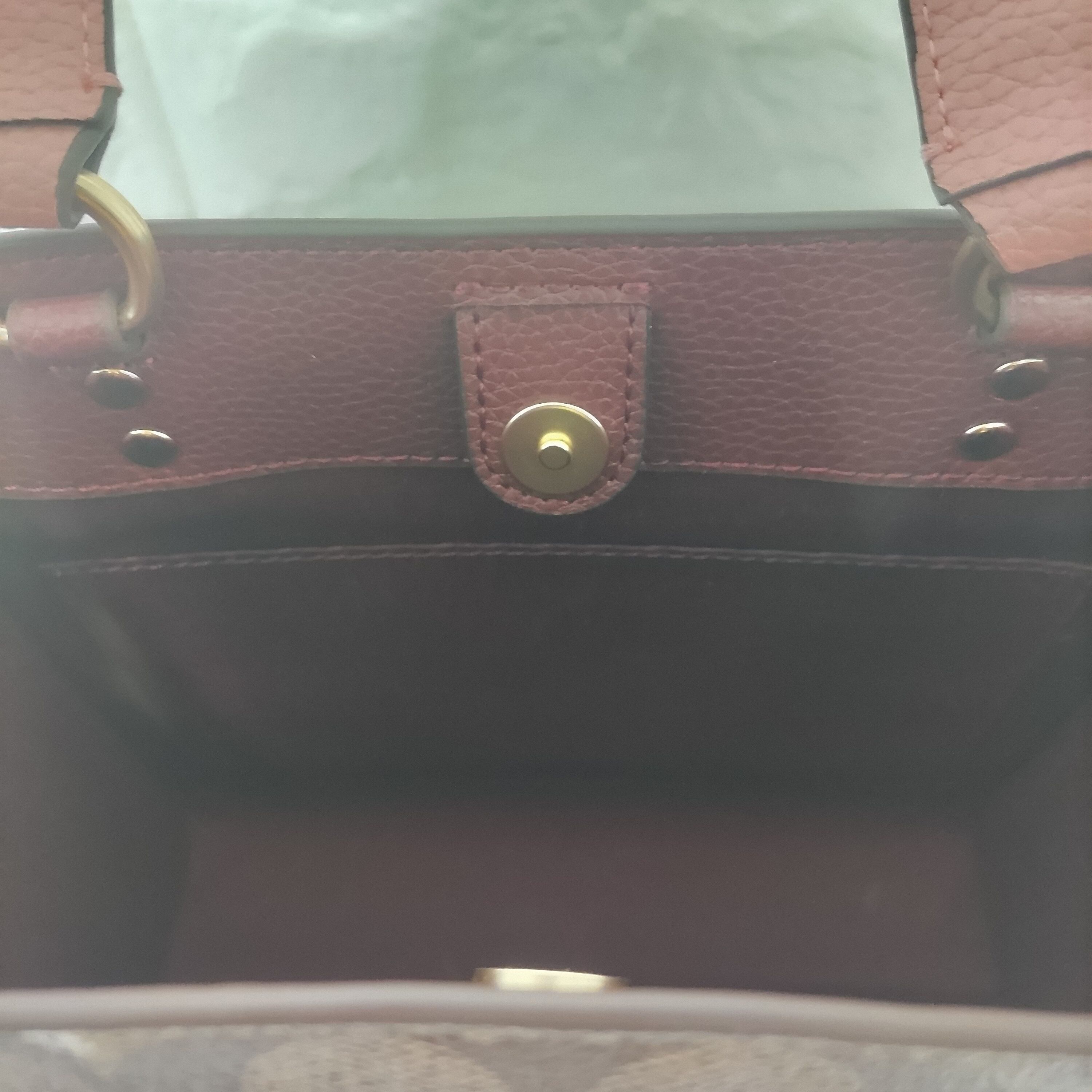 COACH コーチ シグネチャー ダンシング キトゥン プリント 猫 キャット  