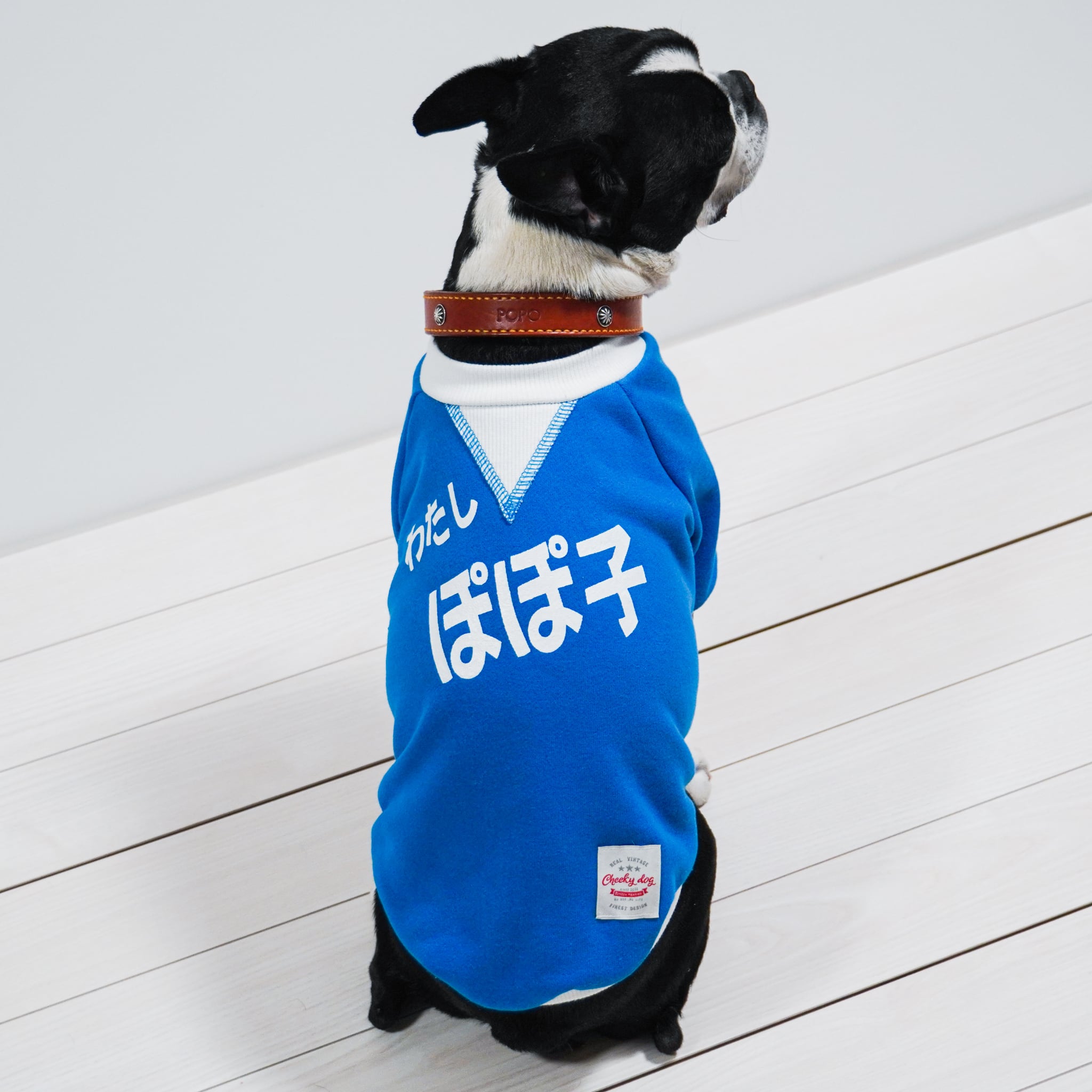 犬服　ポポ　ハンドメイド POPな名前入りスウェット＜blue＞/ボストンテリア/犬服 | Cheeky☆dog