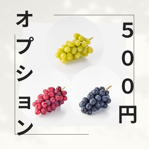 オプション料金５００円