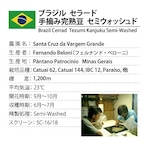 【TAKE OUT】ブラジル セラード 手摘み完熟豆 セミウォッシュド