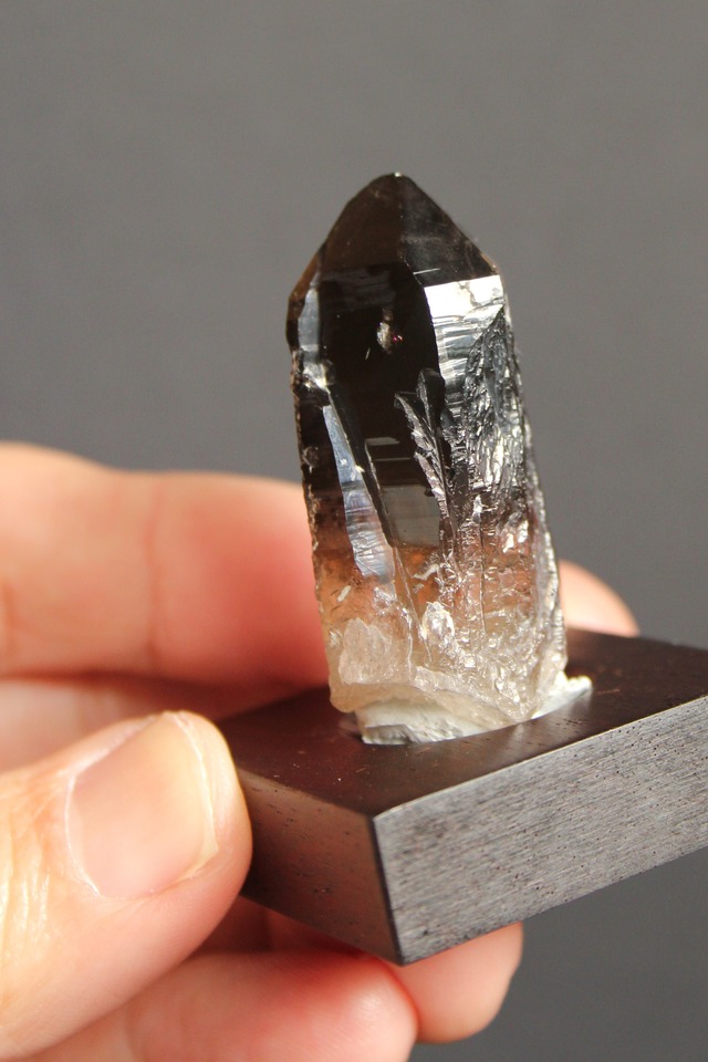 【2102】宮崎スモーキー ローズウッドベース小