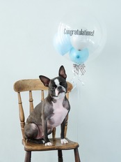 BUBBLE BALLOON sizeM ニュアンスカラー ブルー