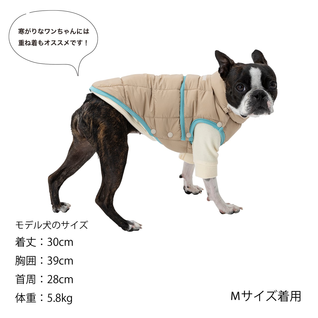 SUPER LIGHT PUFF VEST（3L.4L） スーパーライトパフベスト