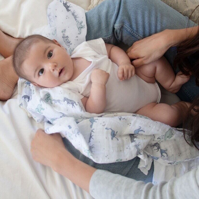 aden + anais スワドル/ライジングスター/2枚