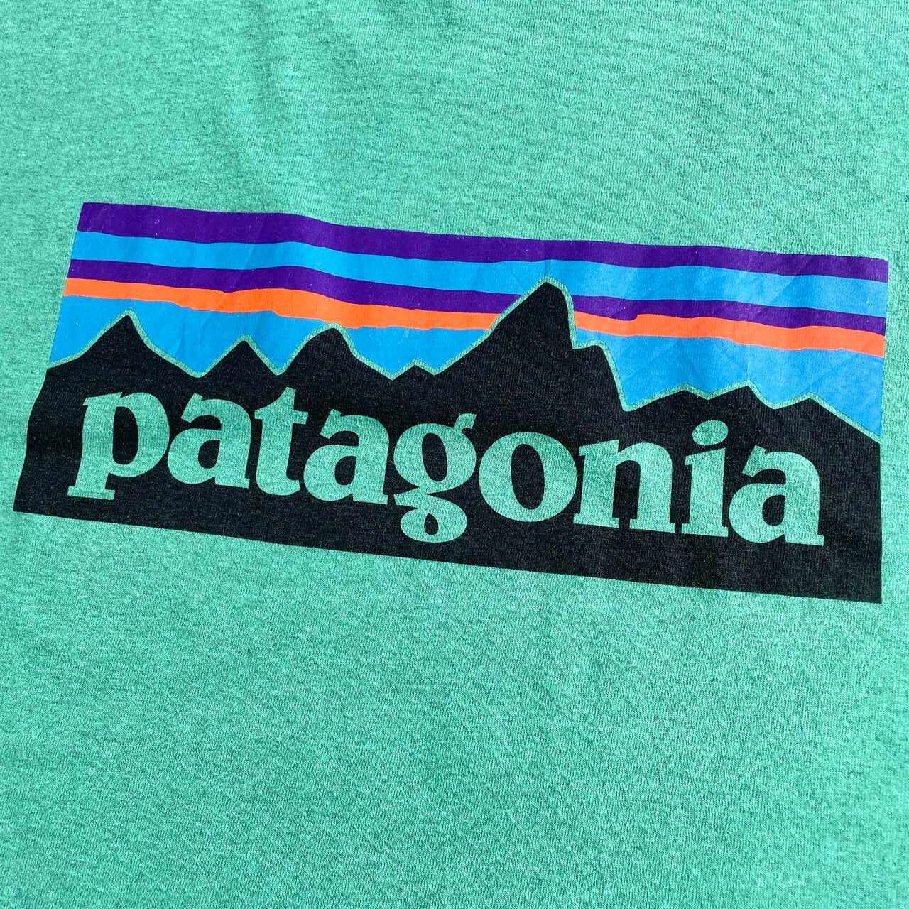 patagonia パタゴニア 胸ロゴ バックプリント Tシャツ メンズXL 古着