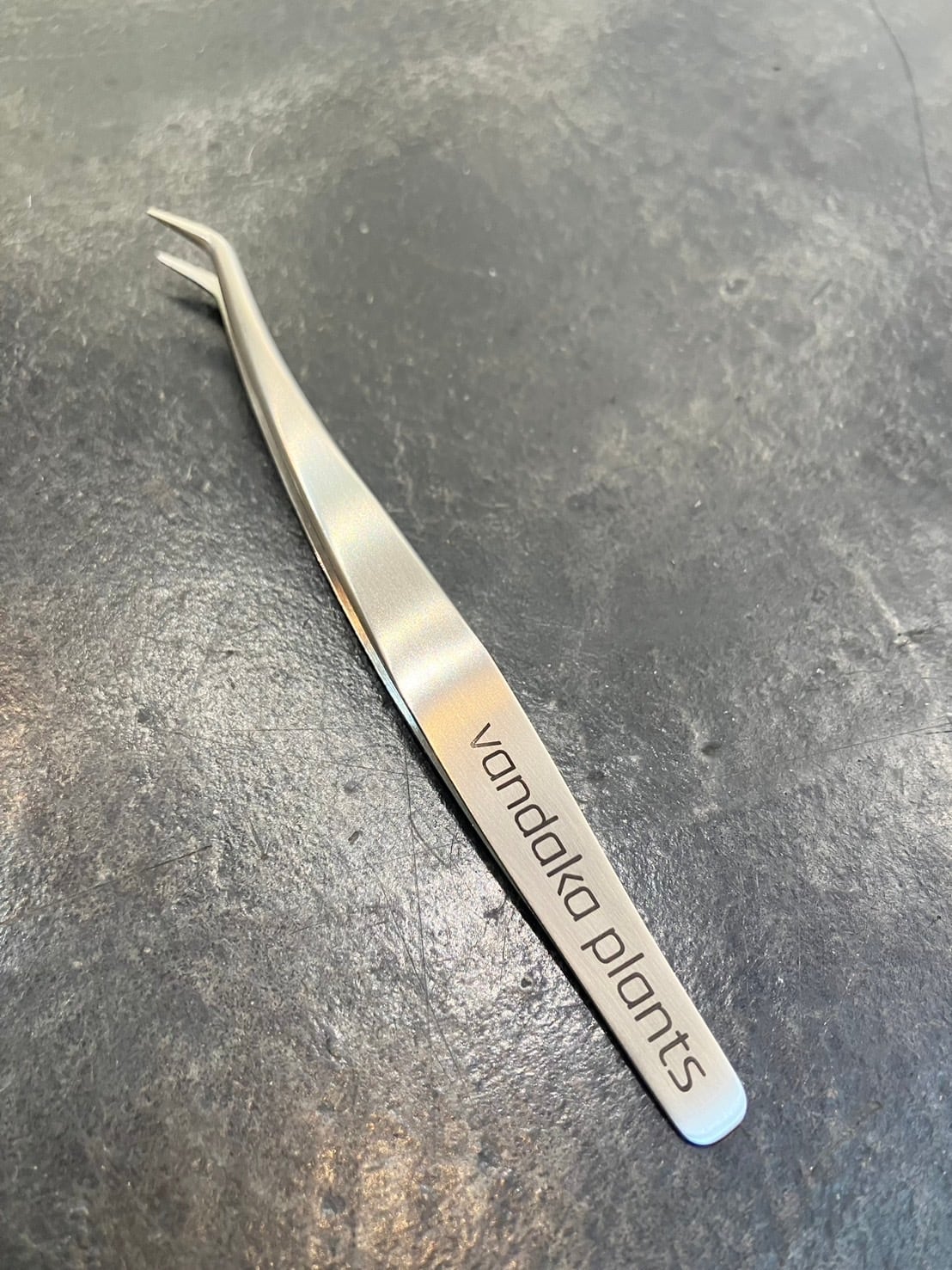 ビカクシダ胞子培養ピンセット TWEEZERS FOR SPORING | vandaka plants