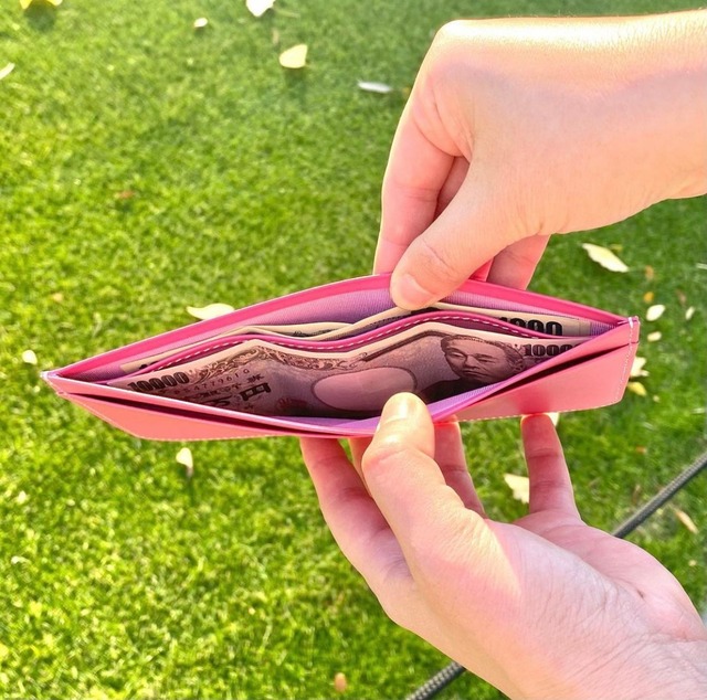 【SRK53】カードポケット付き薄型札入れ