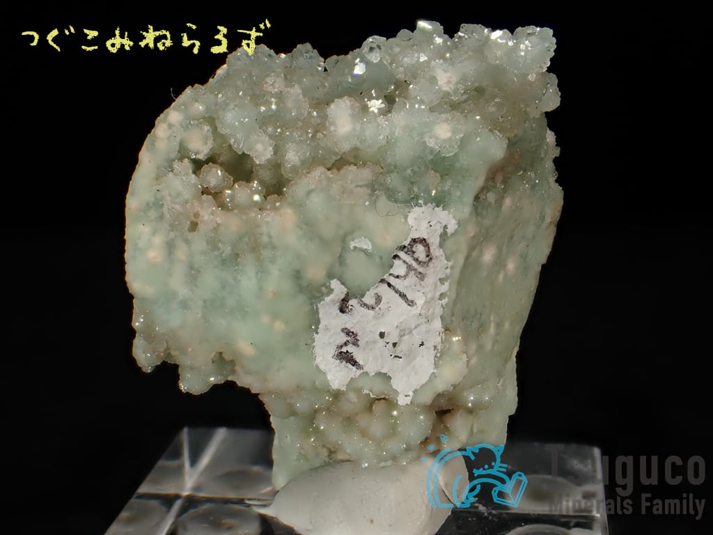 ボラサイト 方硼石 Boracite イギリス TM-0029