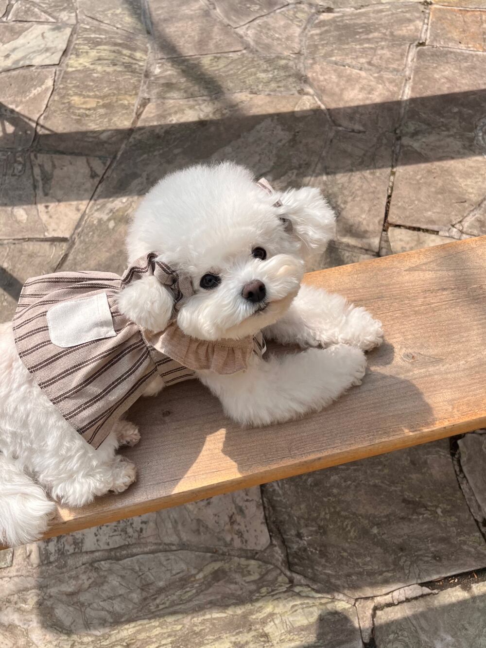 予約【Hi Yeboo】Lona Collection shushu ※単品購入不可