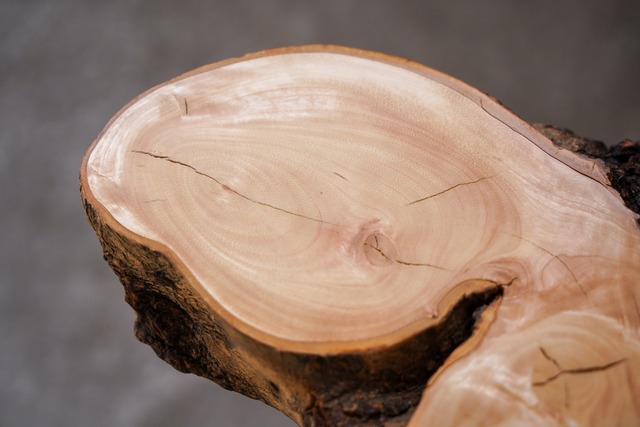 キンモクセイの一枚板  ソファーサイドテーブル