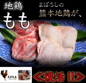 熊本地鶏チルド【天草大王】生産者直送　もも肉（メス）真空パック2枚（約500g）