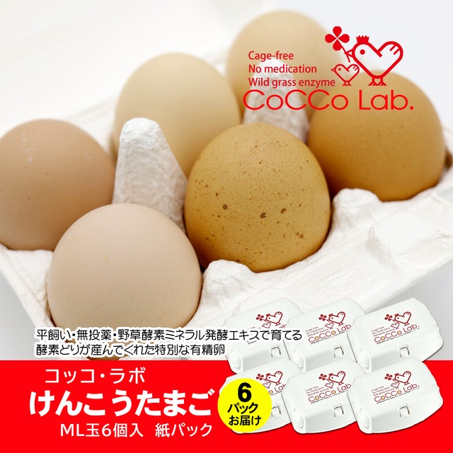 CoCCo Lab. 元気な酵素鶏が産んでくれた有精卵　酵素けんこう卵　６個入×６パック