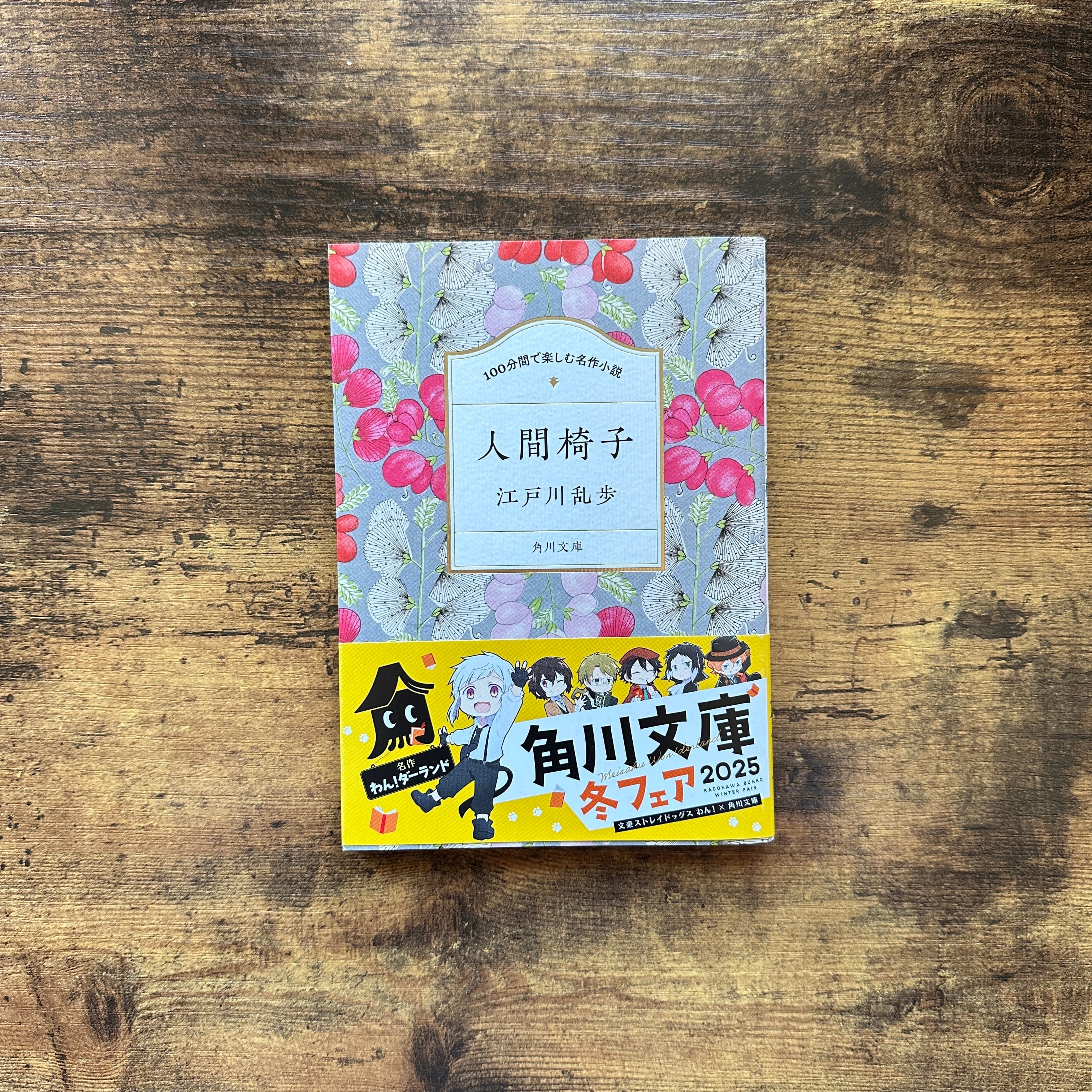 岩波新書『モモ』ミヒャエル・エンデ | BAILEY BOOKS 公式通販サイト