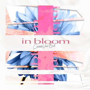 Caress Van End 1st アルバム「in bloom」