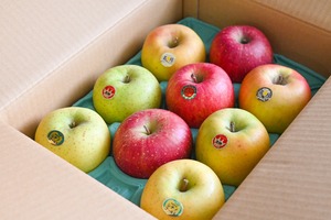 食べくらべ3箱【なるみさん専用商品です。一般のお客様のご購入はお控えください。】