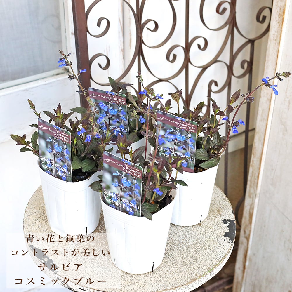 5b383b499f1d0074ad15785e70a2a7