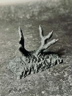 Hell's Crow ー地獄の爪ー