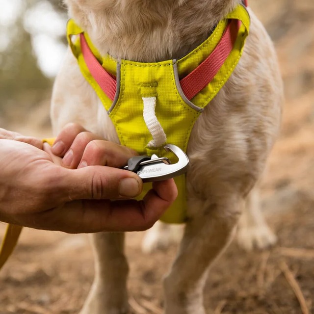 RUFFWEAR(ラフウェア)/ハイ&ライトハーネス/バサルトグレイ | N.Sedona RUFFWEAR(ラフウェア)/ハイ&ライトハーネス/バサルトグレイ | N.Sedona