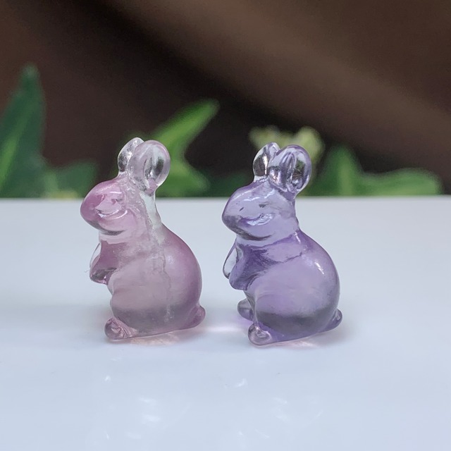 4.フローライトうさぎさん大家族セット