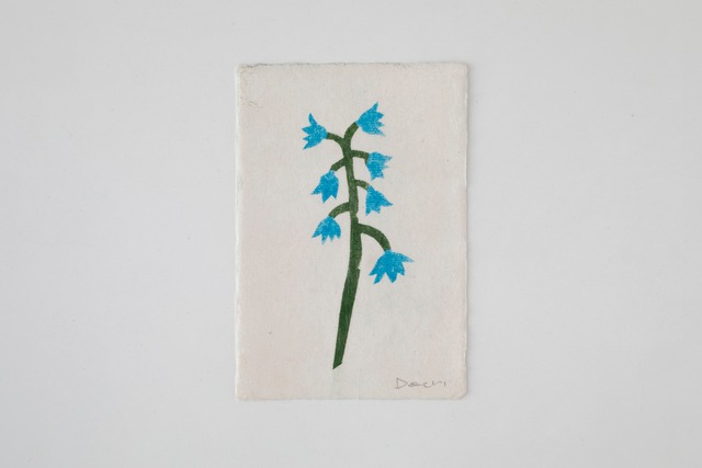W6-4：Field Notes Prints（M）/ Donchi