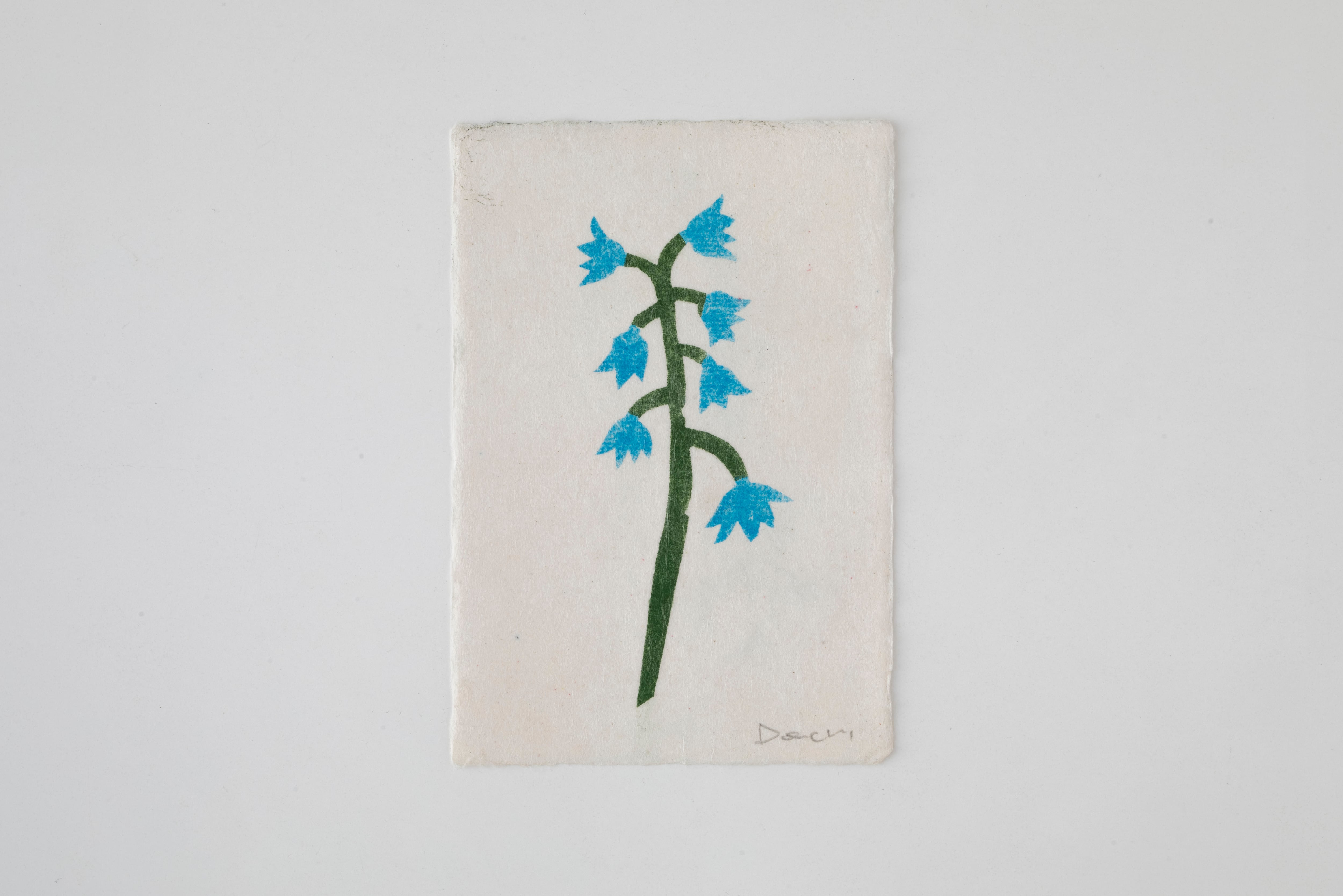 W6-4:Field Notes Prints(M)/ Donchi