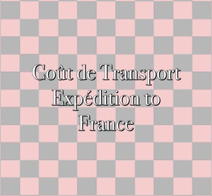 Coût de transport　（Expédition en France）
