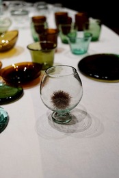 稲葉知子｜ワイングラス ＜LOCAL GLASS CHAT＞