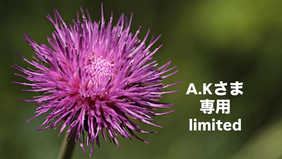 あお様♡専用ページ A.Kさま専用ページ | BlueOnion