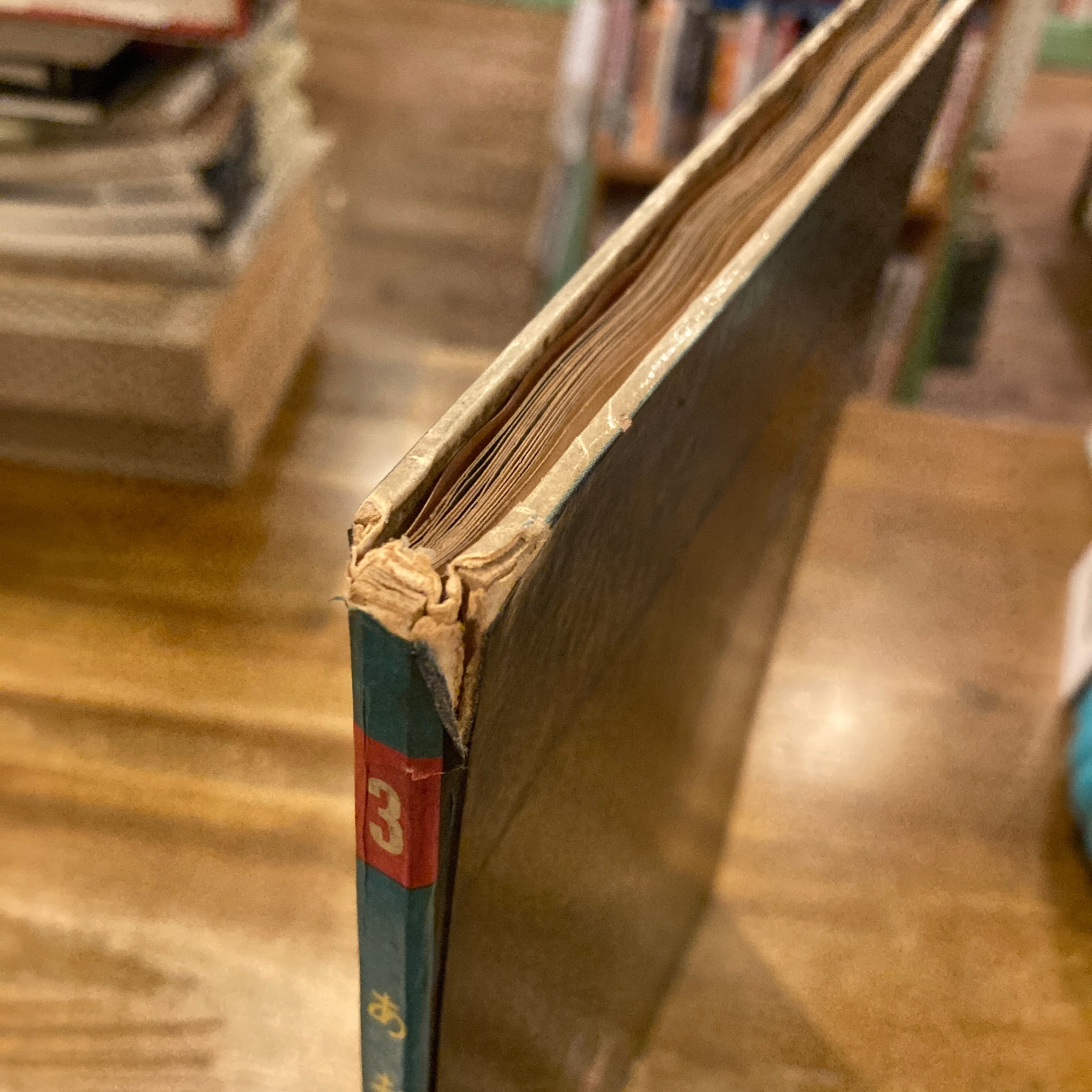 青い鳥 あおいとり A GIANT ANGEL BOOK / 堀尾青史 文、宇野亜喜良 絵