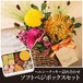 【敬老の日限定販売】生花アレンジメントpetit+ソフトベジボックス