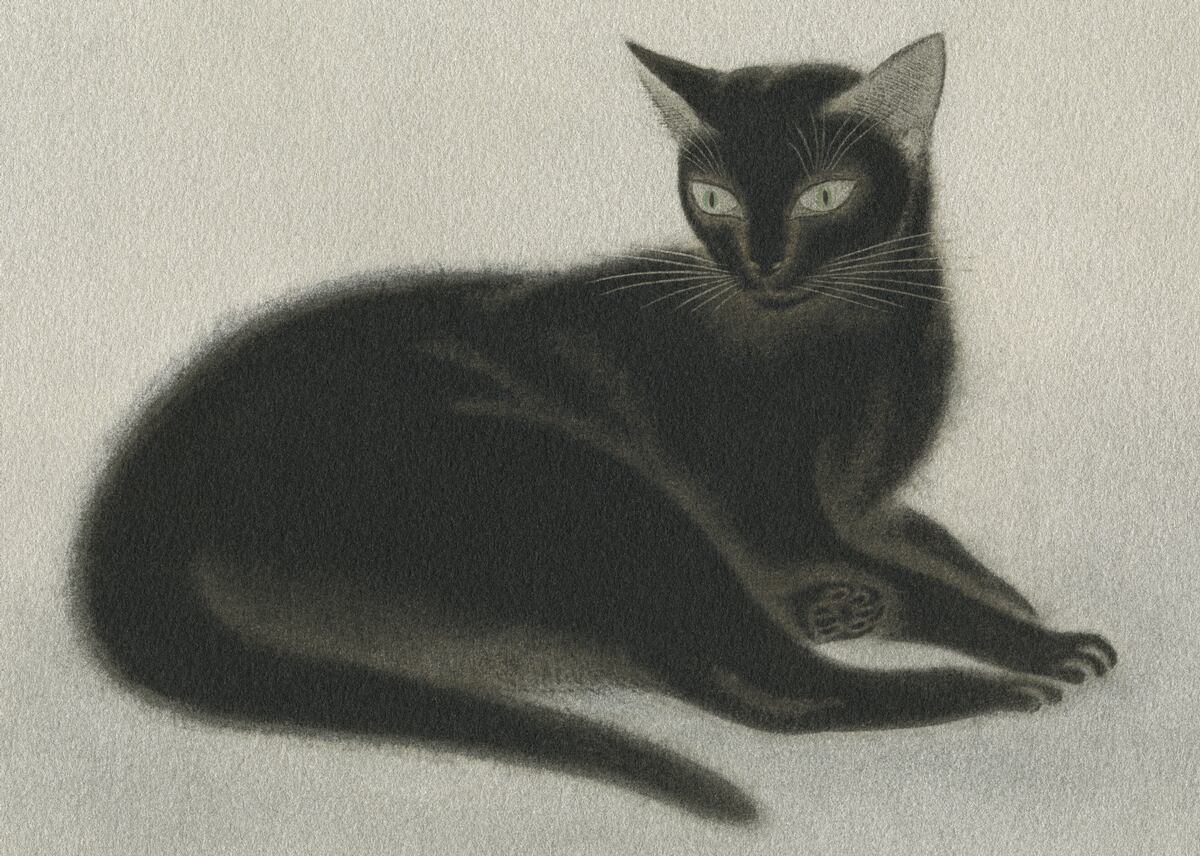 Black Cat Gold / Toshihiko Maemoto