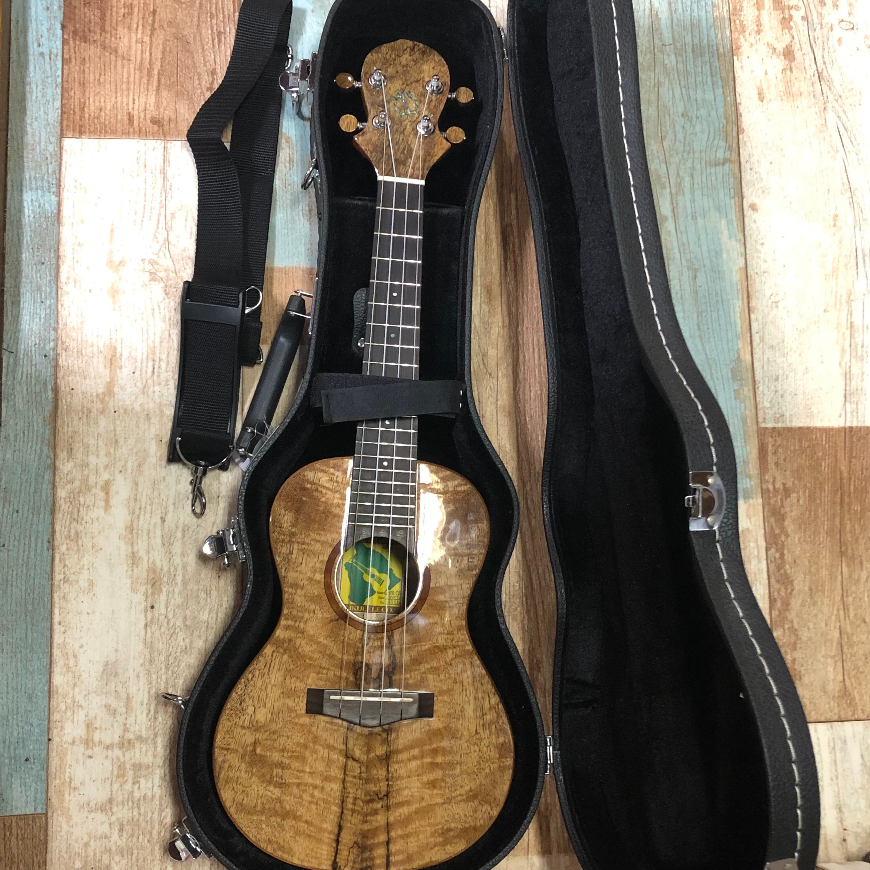 中古 調整済 BIG ISLAND UKULELE U-MO-CTS コンサートウクレレ 純正