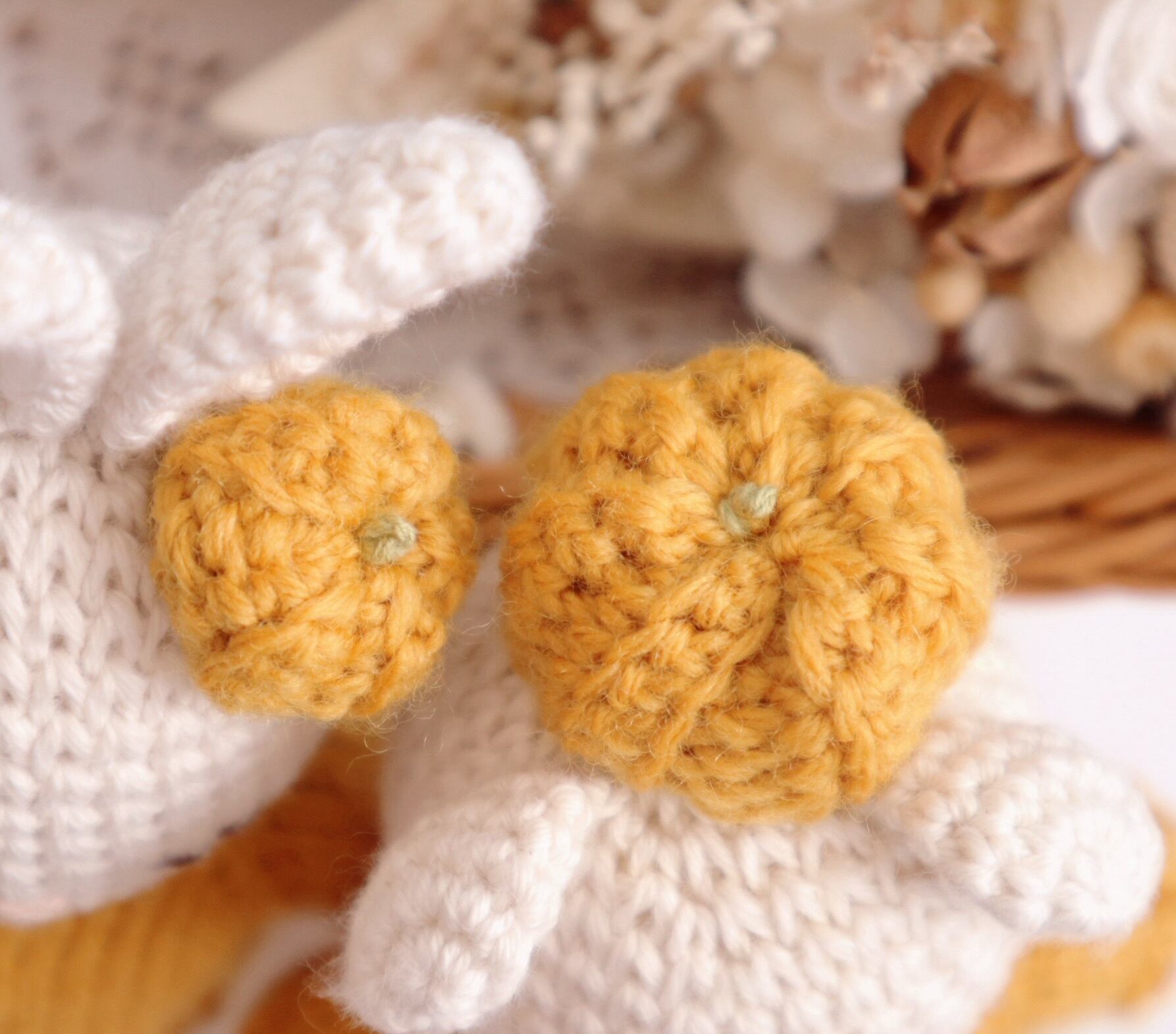 emakuma と かぼちゃ