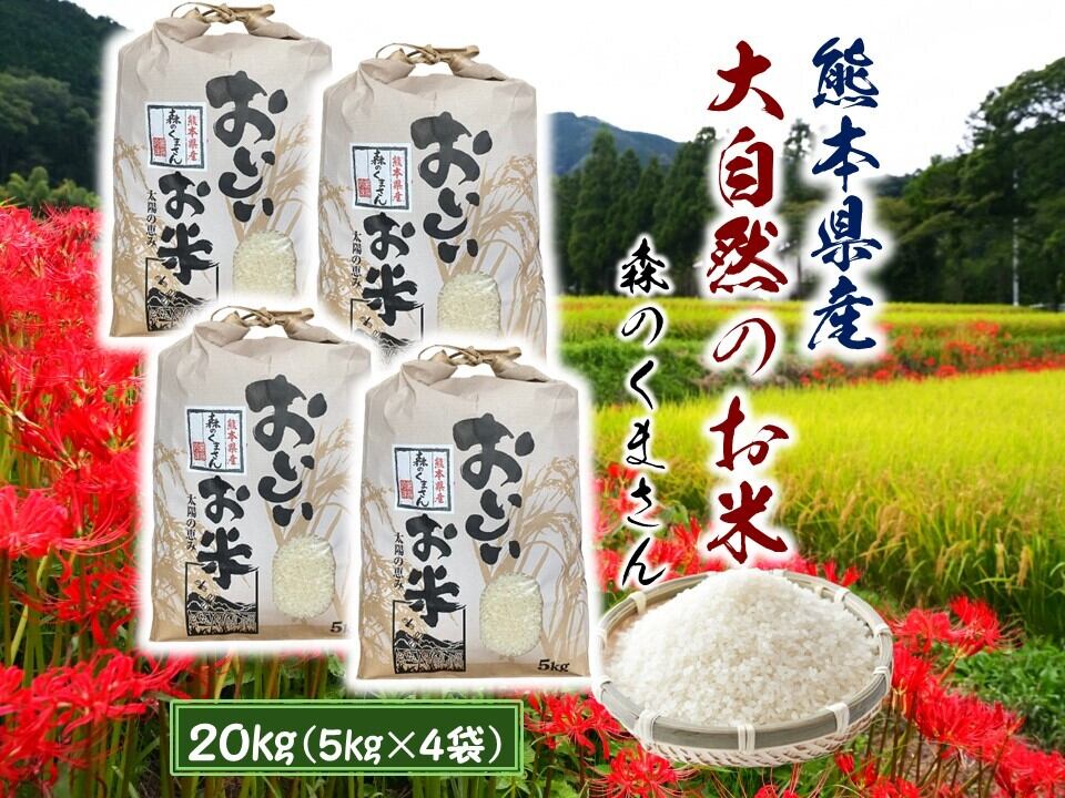 森のくまさん20kg
