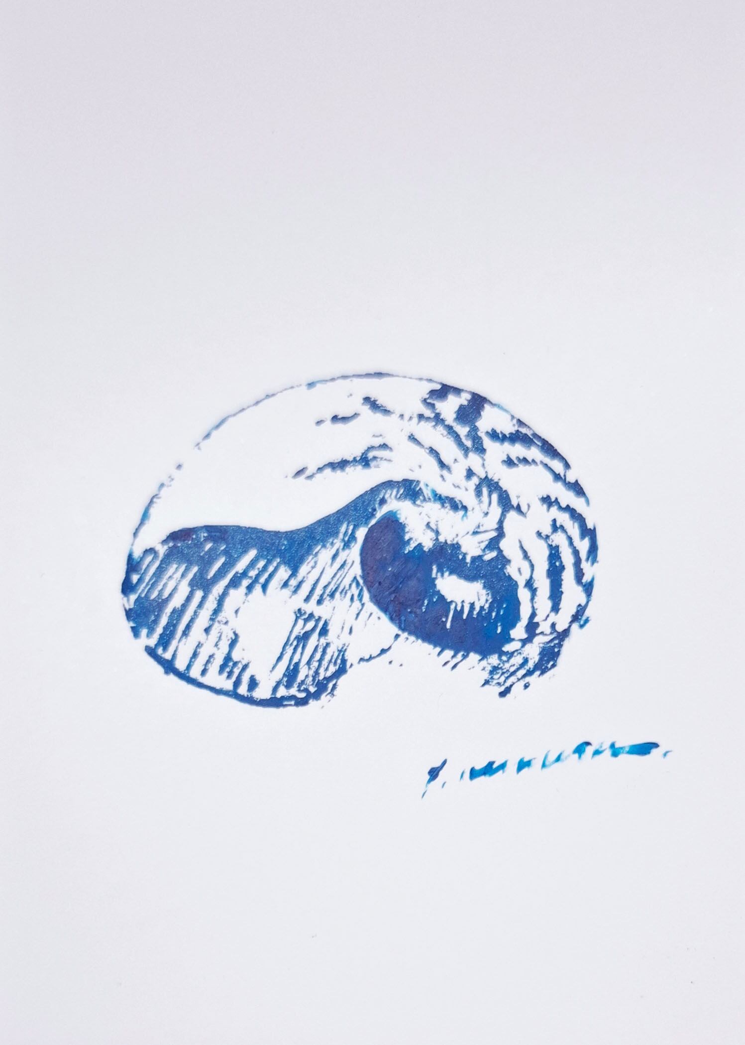 貝殻 | 植村友哉