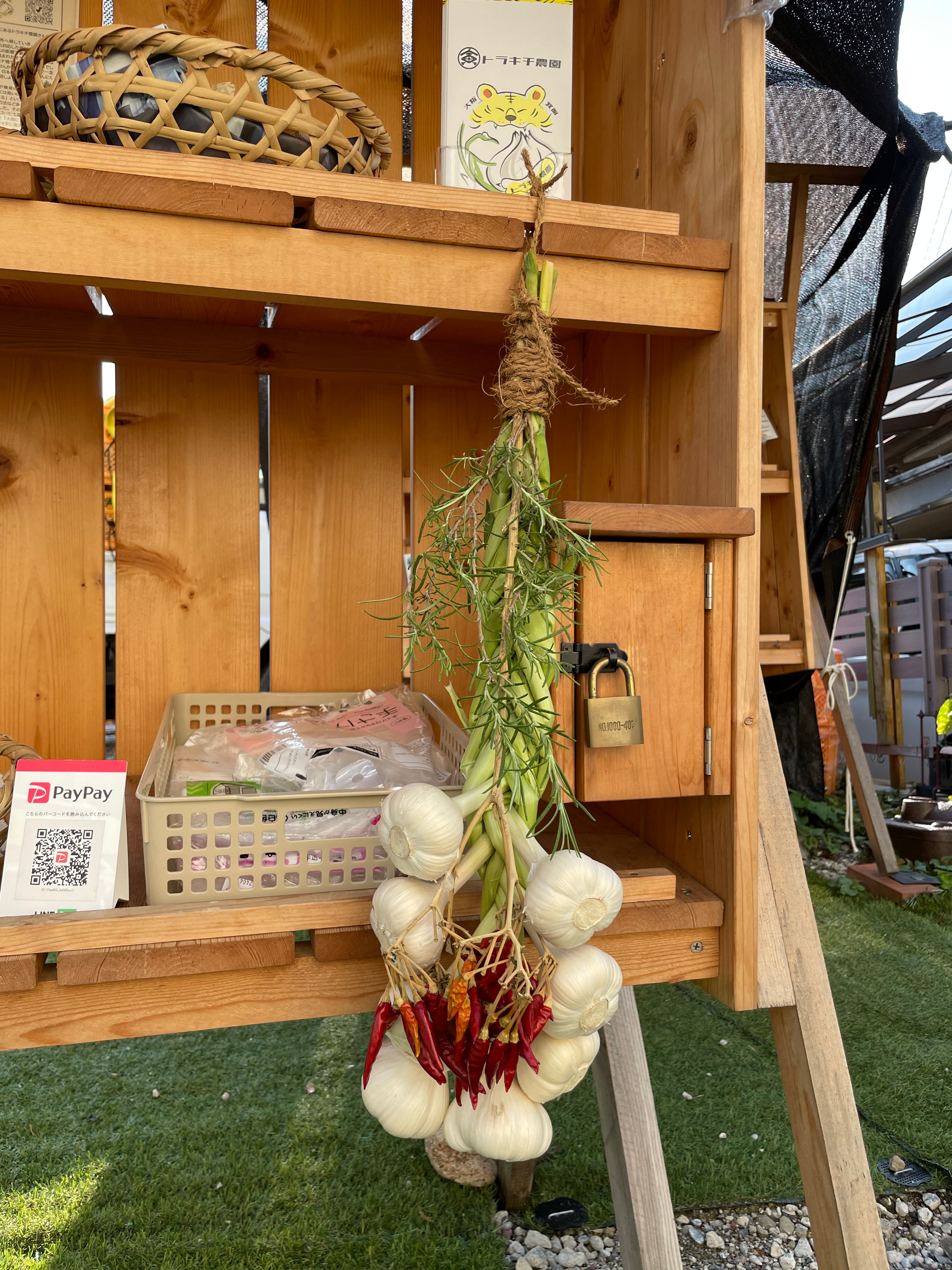 ガーリックブレイド（シン・にんにく）Aランク Lサイズ 8玉 魔除け